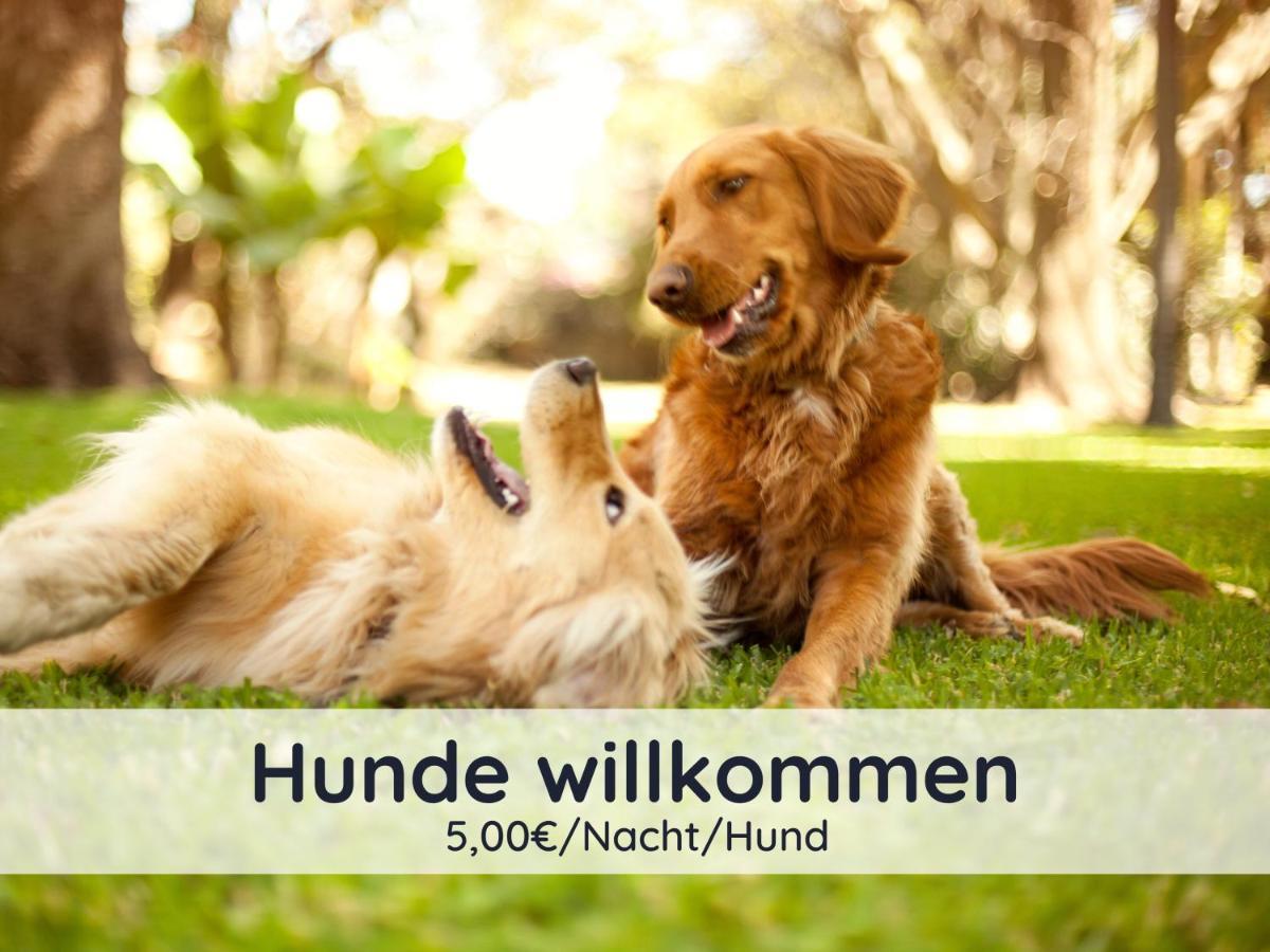 Der Fuchsbau - Fewo Lepetit - Im Sonnigen Harz - Hunde Willkommen - 100M Bis Zum Wald - Free Wlan Bad Sachsa Εξωτερικό φωτογραφία